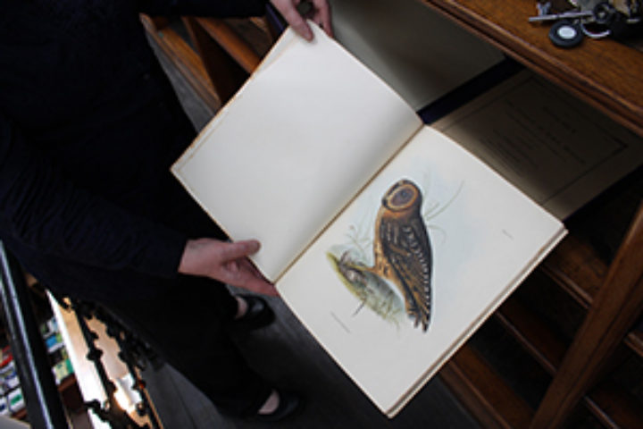 Society’s own collection of Darwin