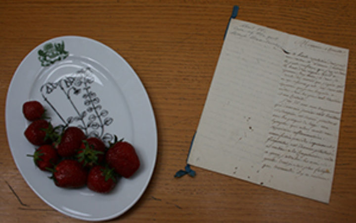 Linnaeus believed strawberries cured a painful attack of gout