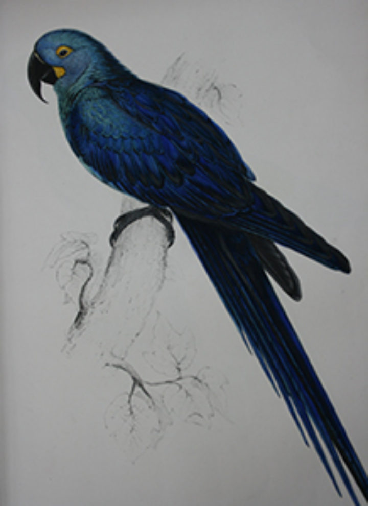 beautiful art work