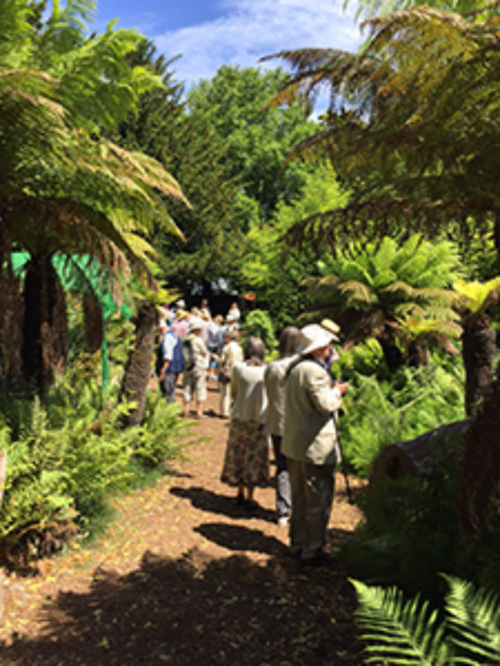 Writhlington School Orchid Project