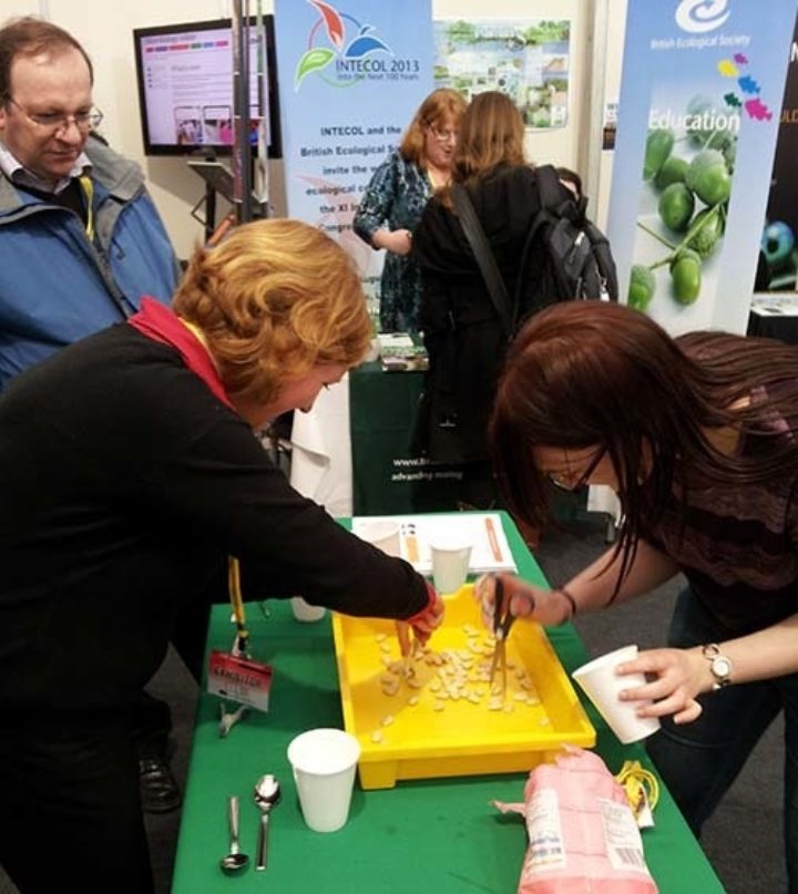 ASE conference news item