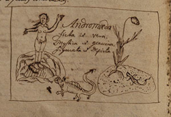 mythical virgin Andromeda