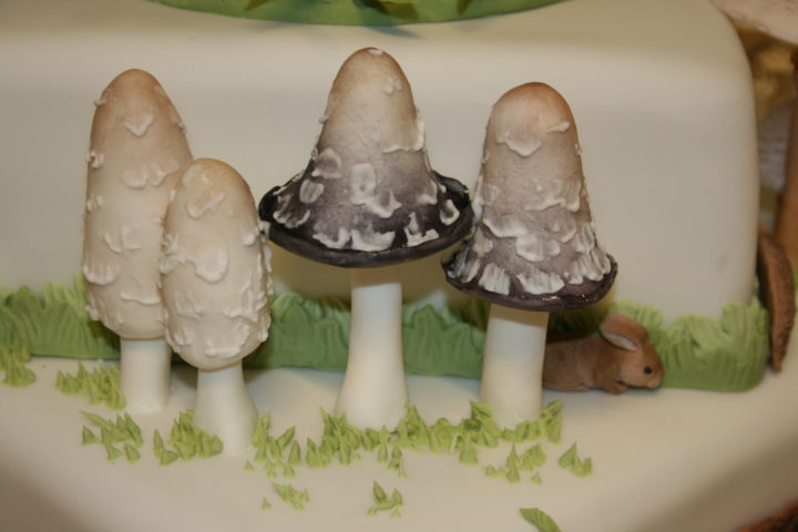 Mycology Cake