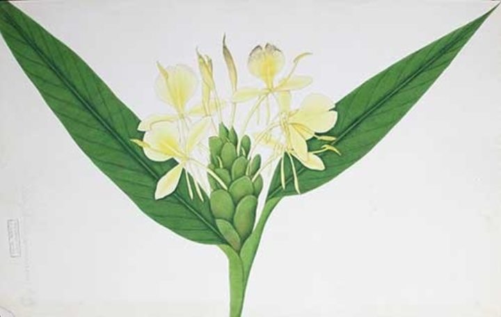 High quality digital prints