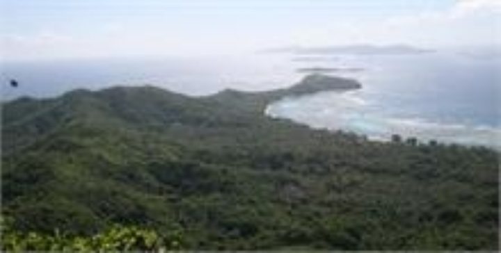 some islands where very few or no butterflies were seen