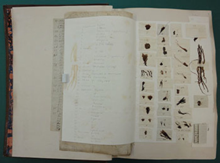 George Don’s letters