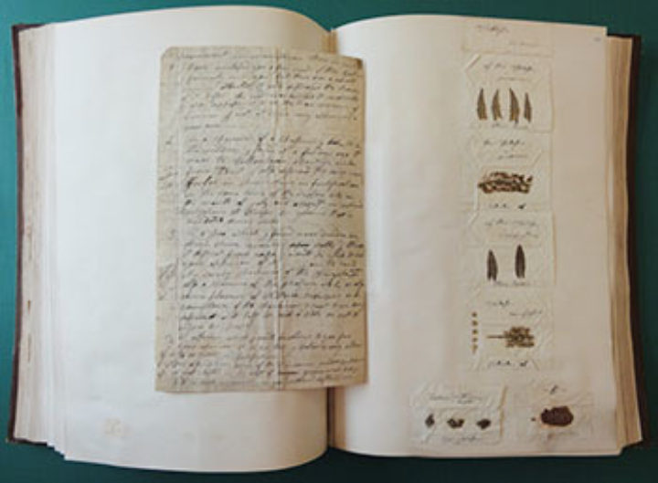 George Don’s letters