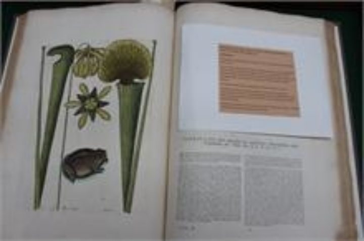 skilful presentation of the artists