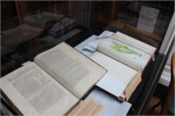 skilful presentation of the artists